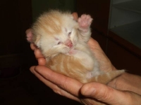 А ну вас всех в баню!