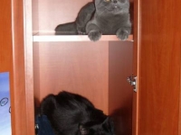 2 уровня