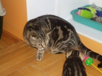 2 родных брата, 2 поколения