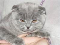 Жить буду у самой Кристины, в зАмке
