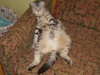 Скоро и я стану мамой