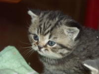 Мальчик 04.03.13г.р.