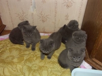 А чё это вы здесь делаете?..А?