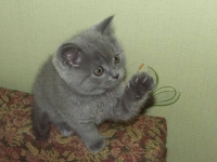 Чур, я первенький!