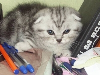 Прислушиваясь к В.С. Высоцкому