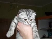 Кузьма Саидович