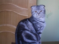 Мона Лиза