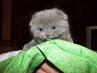Первое восхождение