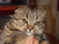 Tissa, дочь Kissme